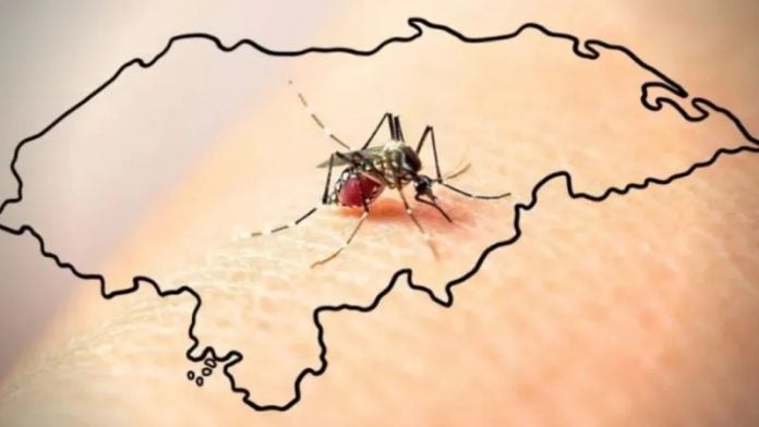 Contradicción: OPS ubica a Honduras con altos casos de dengue; la Sesal lo minimiza