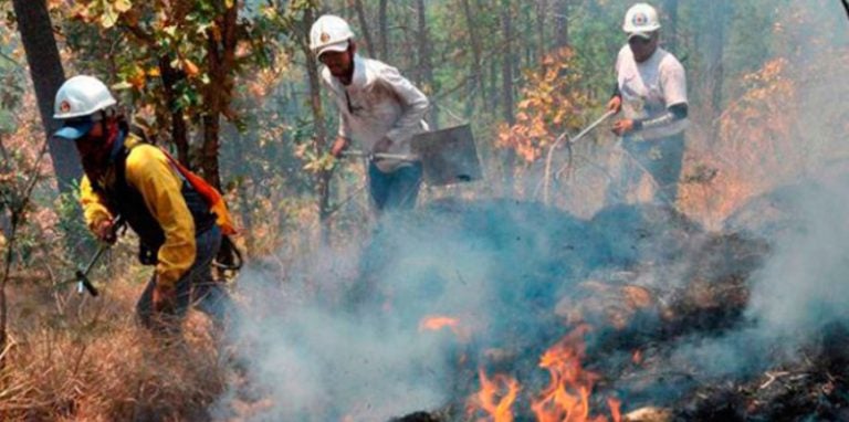 60,000 hectáreas en Honduras consumidas por incendios en 2025