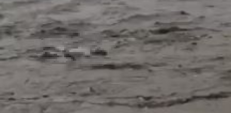 En Santa Bárbara hallan cuerpo sin vida flotando en el río Ulúa