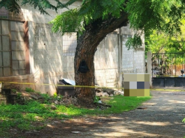 Guardia de seguridad en Villanueva