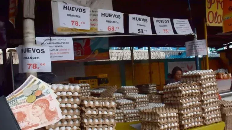 ¿Sube o baja? Este es el precio del cartón de huevo en la capital
