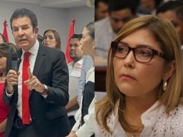 Ana Paola Hall renunciará al cargo