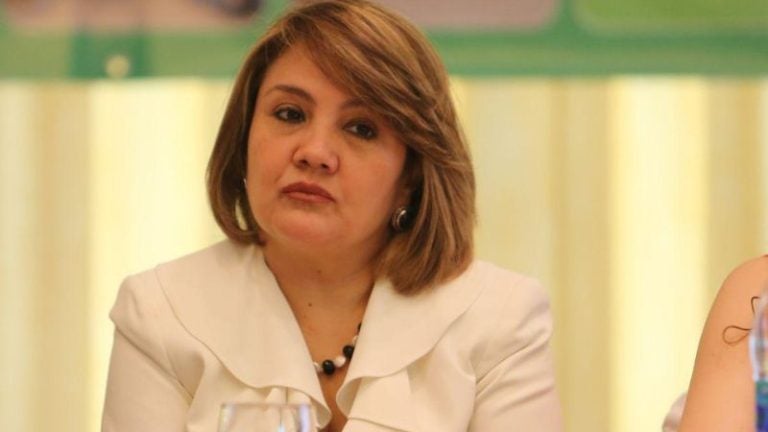 Ana Pineda: no es momento para cambiar consejeros en el CNE