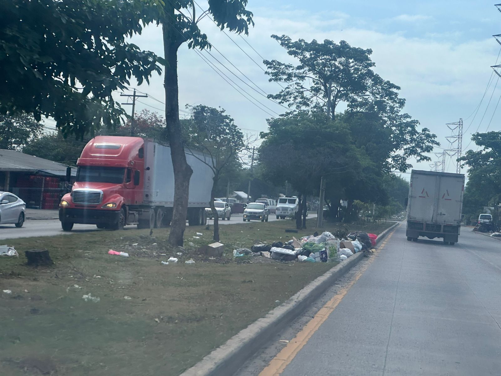 Basura 33 calle