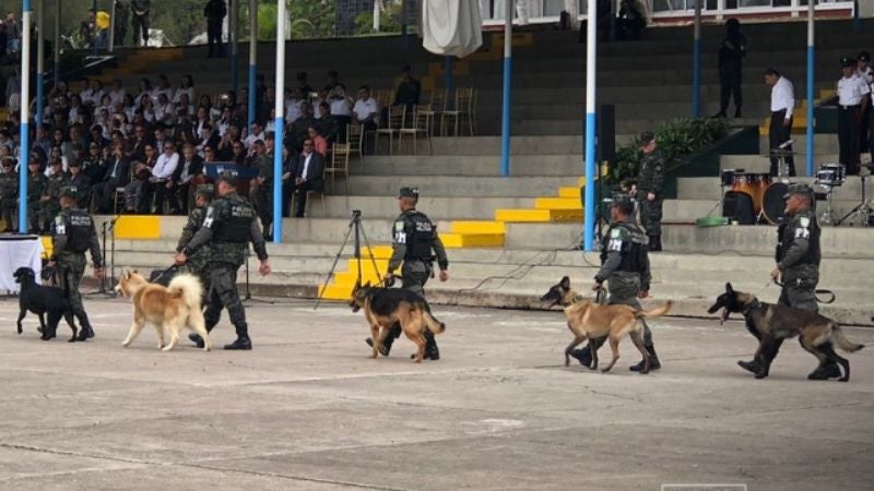 Batallón Canino PMOP