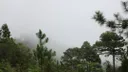 celaque-honduras-3