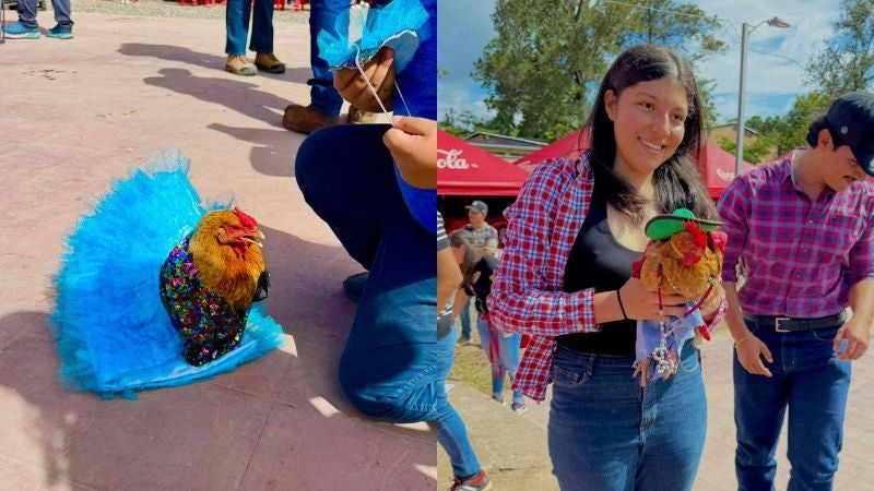 Concurso gallinas Tatumbla 1