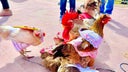 concurso-gallinas-tatumbla