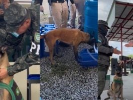Honores Chispa incautar cocaína