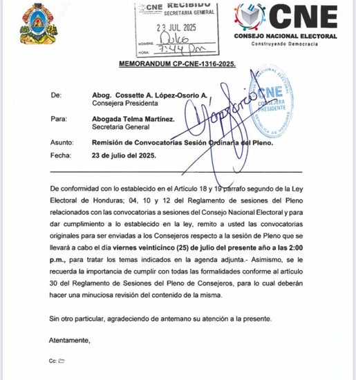 Convocatoria el pleno del CNE
