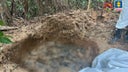 fosa-comun-colombia-2