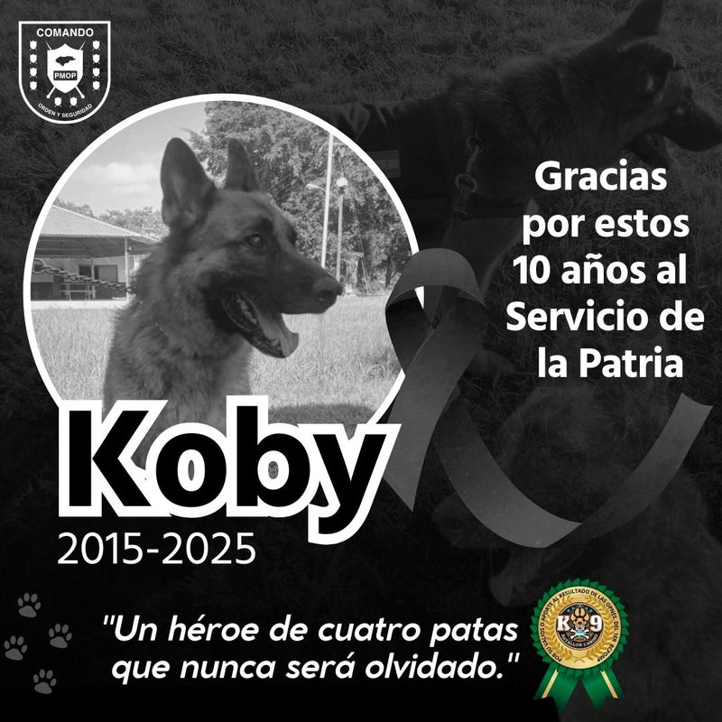 Koby Perro militar