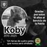 koby-perro-militar