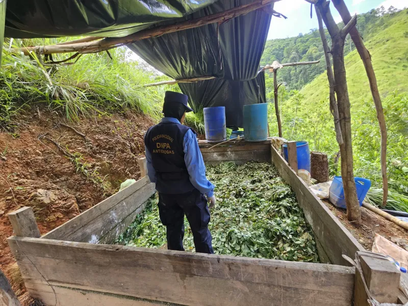 Laboratorio de coca