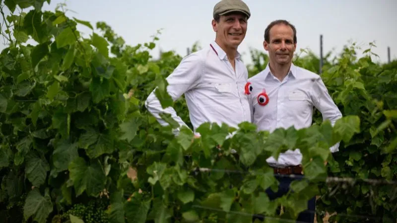 Laboratorio vino sin alcohol Francia 