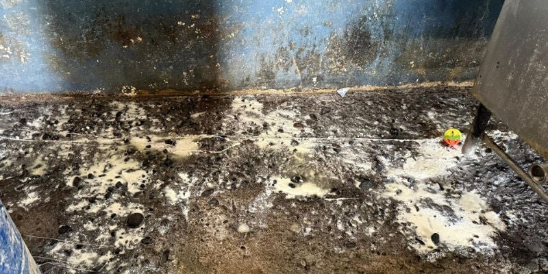 ¡Clausurada! ARSA cierra procesadora de lácteos en Choluteca por fallas sanitarias