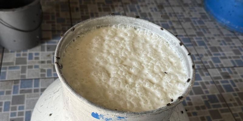¡Clausurada! ARSA cierra procesadora de lácteos en Choluteca por fallas sanitarias