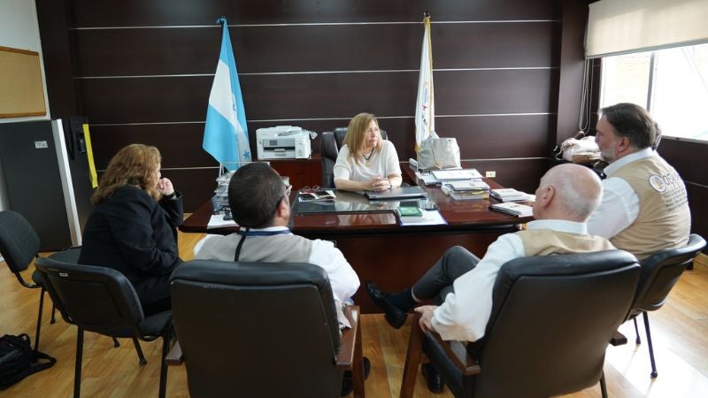 MOE OEA segundo día Honduras (1)