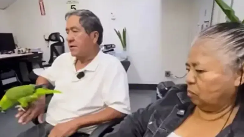 pareja se autodeporta a México