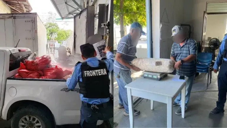 Decomisan miles de libras de caracol y langosta valoradas en más de L870 mil en La Ceiba