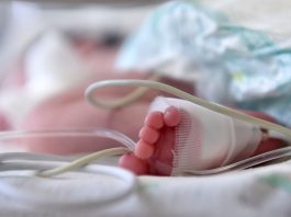 Padres son acusados de abuso infantil dieta