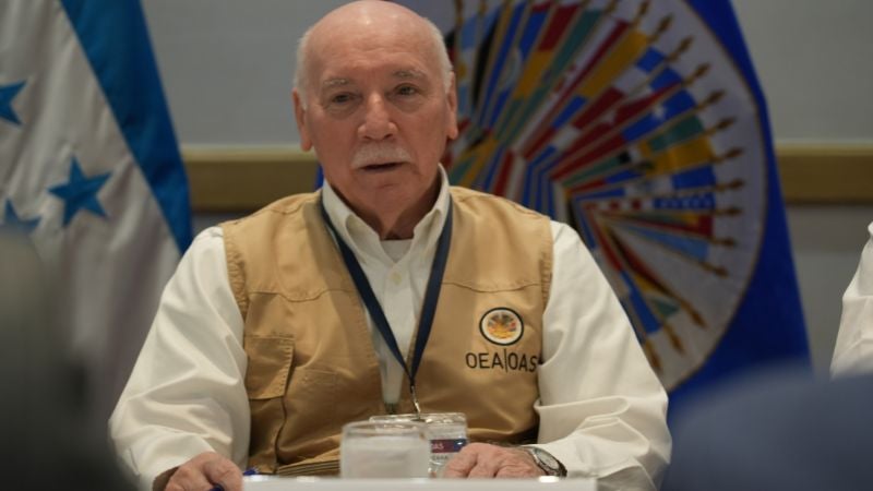 Misión de la OEA Elecciones Honduras (1)