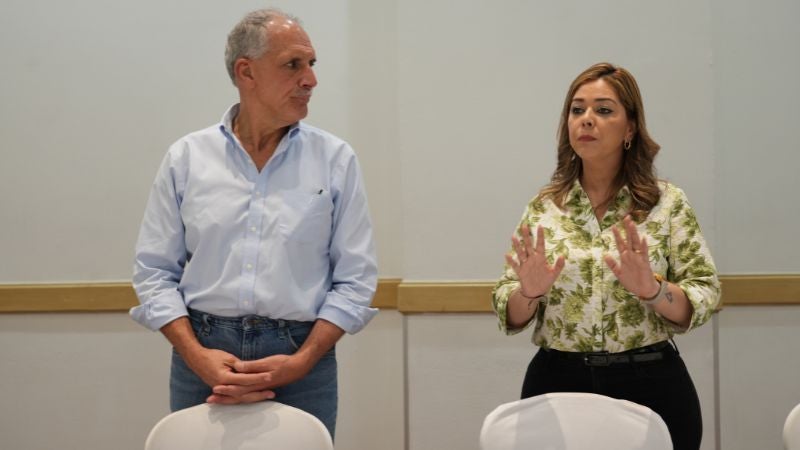 Misión de la OEA Elecciones Honduras (2)