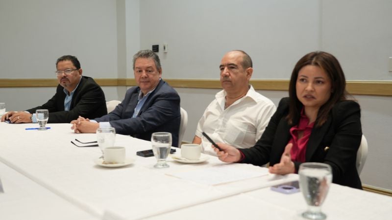 Misión de la OEA Elecciones Honduras (5)