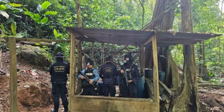 ¡Golpe en Colón! Destruyen narcolaboratorio y confiscan 48 mil plantas de coca