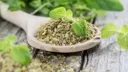 oregano-fresco-2