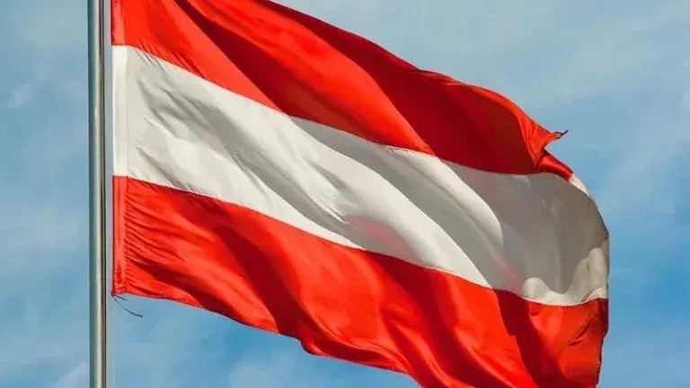Partido Liberal desautoriza uso de su bandera en eventos de Libre y advierte a sus candidatos