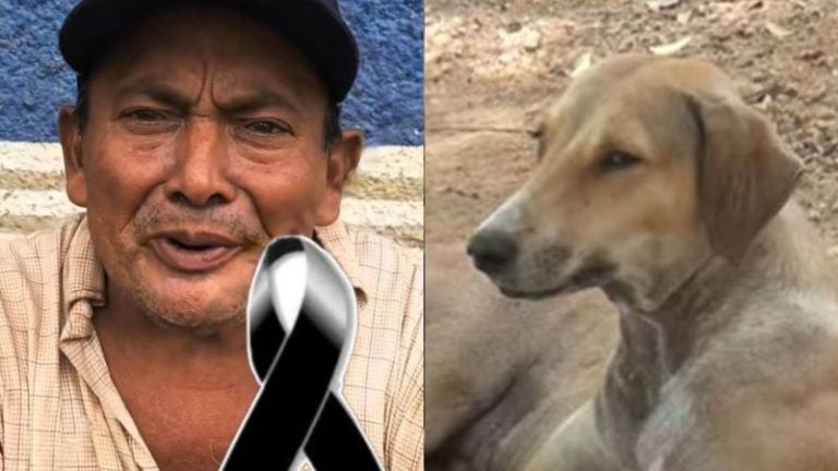 Por las mordidas de una perra fallece adulto mayor en Choluteca