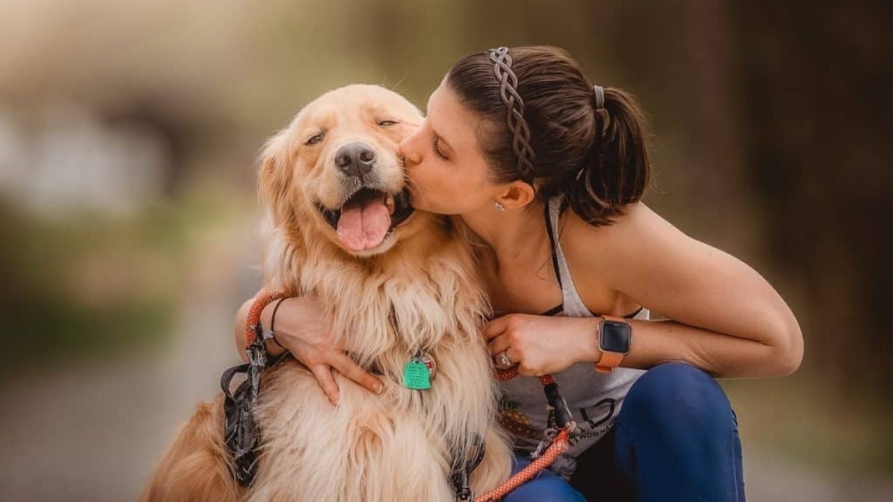 Día Mundial del Perro