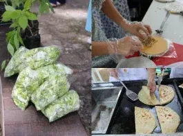 Platillos loroco Gracias