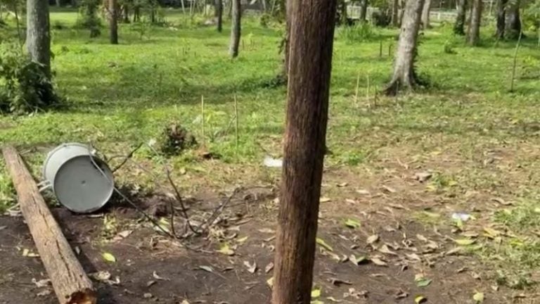 Estudiante de Electricidad muere y otro queda herido al caerles un poste en Cortés