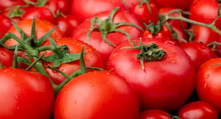 Tomates