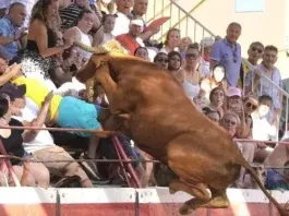Toro salta a las gradas en festejo taurino y deja dos heridos graves