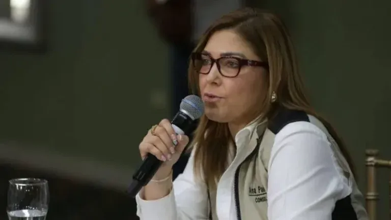 El Partido Liberal anunció que ya cuenta con personas para reemplazar a Ana Paola Hall en el Consejo Nacional Electoral (CNE).