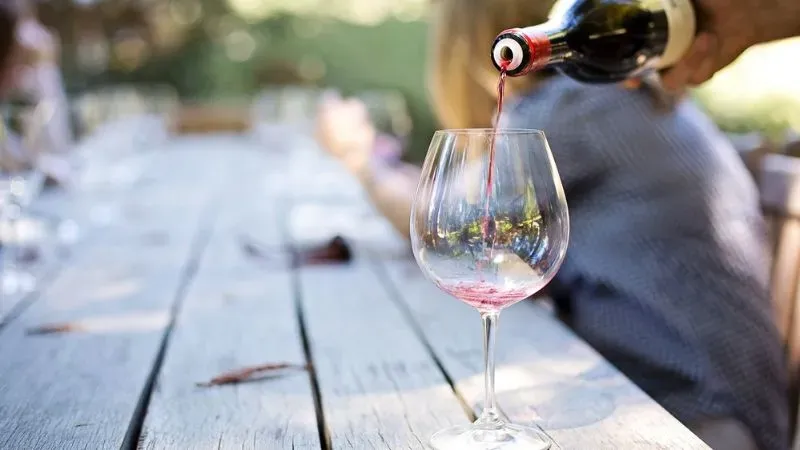 Vino 2
