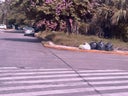 basura-los-andes