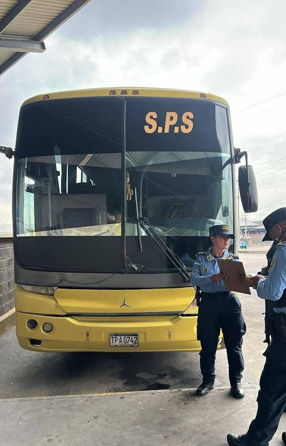 bus