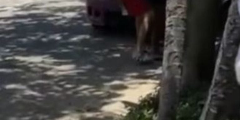¡Brutalidad en La Ceiba! Sujeto golpea a mujer embarazada para hacerla abortar