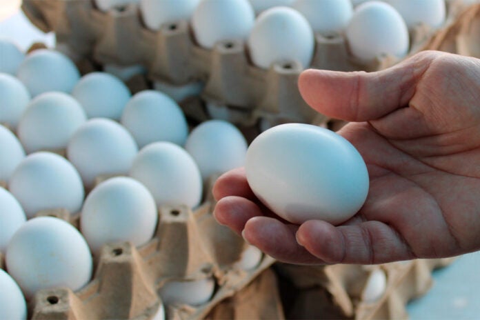 huevos 
