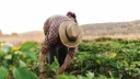 migrantes-30