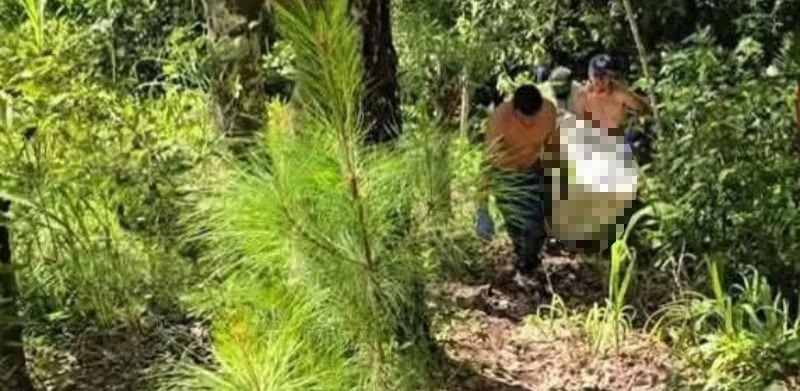 Hallan cuerpo sin vida en hondonada en Copán