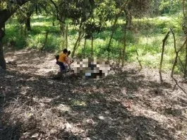 "Todos los días peleaba con él": matan adolescente en SPS
