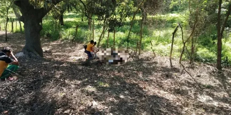 "Todos los días peleaba con él": matan adolescente en SPS