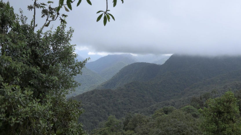 Reserva de la Biósfera del Chocó Andino