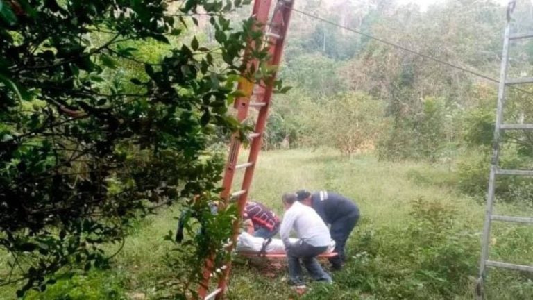 Adulto Mayor Aguacate Olancho