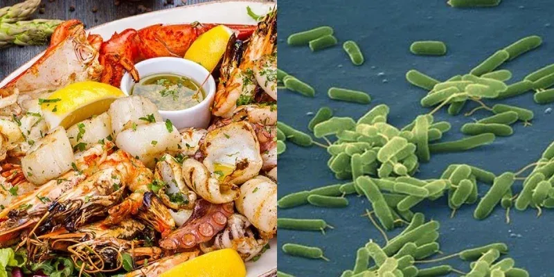 Preocupación en EEUU por el aumento de muertes por bacterias carnívoras